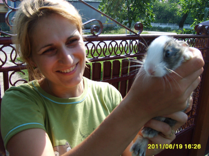 S5003037 - Vestitul Pasaj 1 NICOLAE TITULESCU