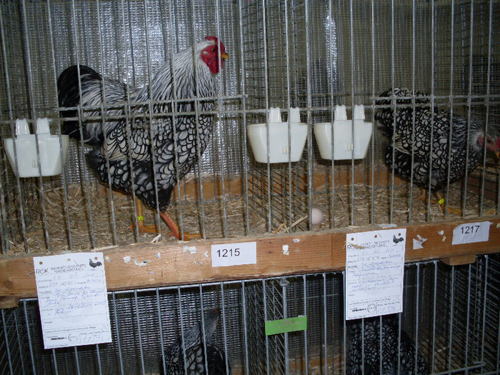 SDC10670