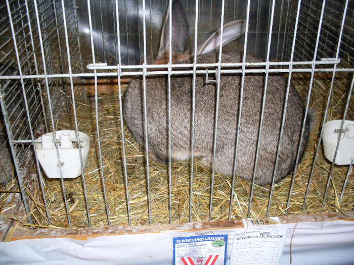 SDC10677