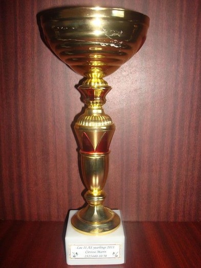 DSC04298 - 111  trofee