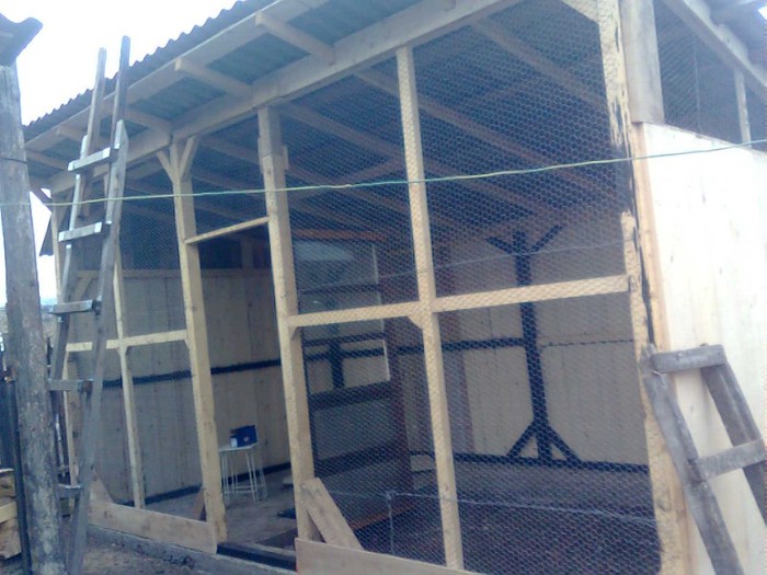 Imagine0891 - Voliera