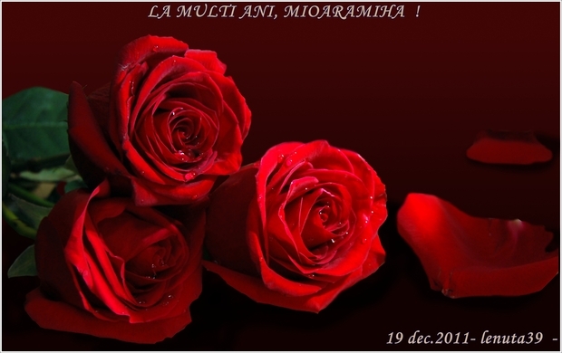 trandafiri-rosii-pentru-mioaramiha-la-multi-ani - IMAGINI DE LA PRIETENI PENTRU MIOARA1