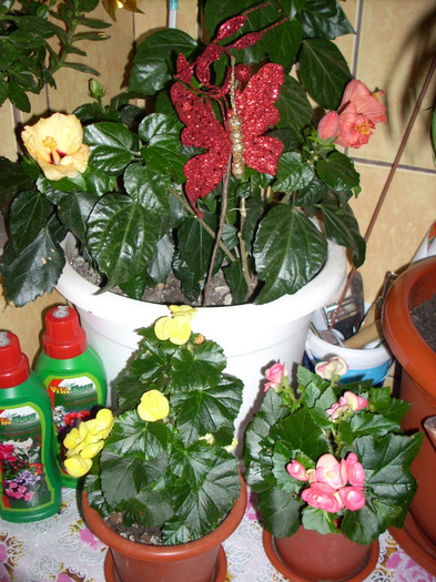 Photo 023