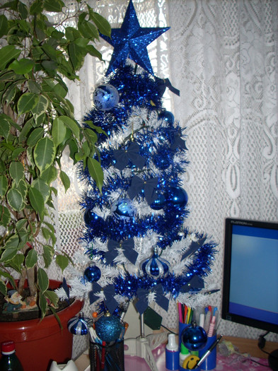 Photo 029