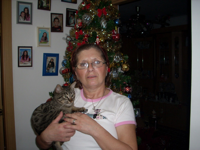Photo 038