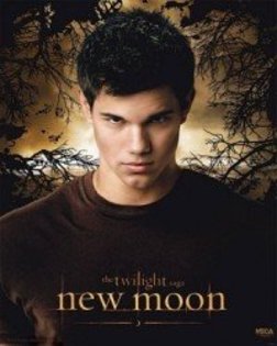 New-Moon-2354458-918