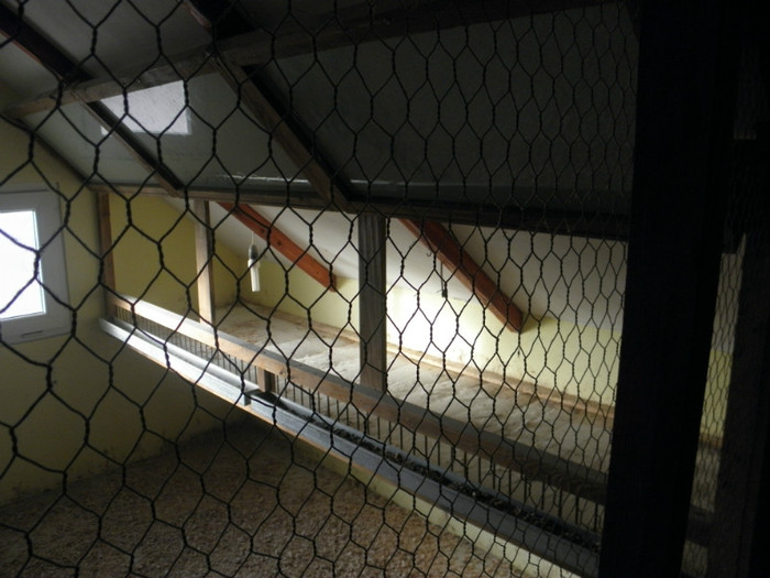 PC180057 - adapost pasari