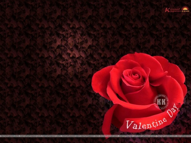 trandafiri044-662x496