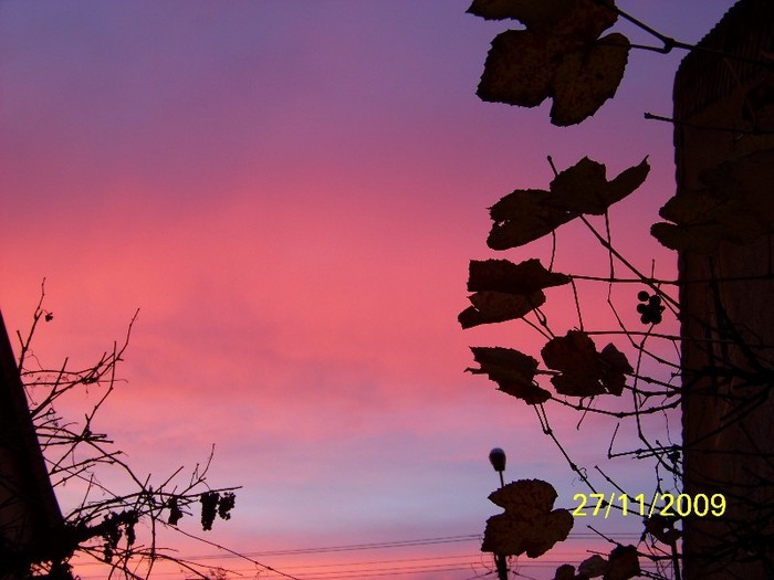 100_5604 - Splendorile cerului 2