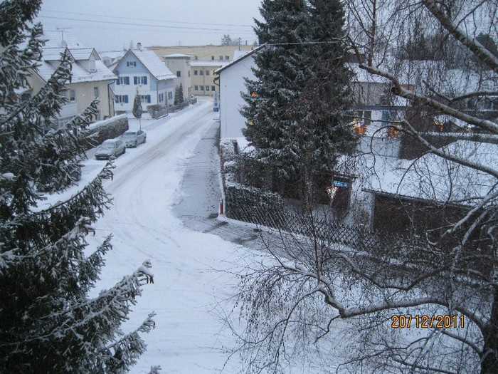 001 - iarna 2011