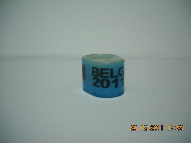 2011+ talon - BELGIA  BELG