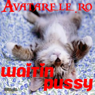 37 - avatare animale