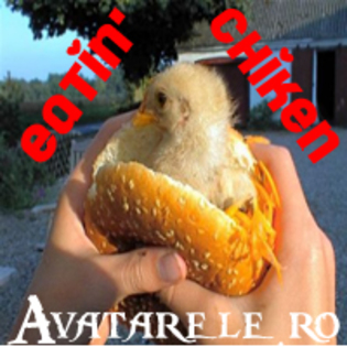 38 - avatare animale