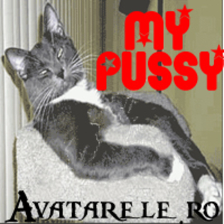 39 - avatare animale