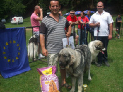 Bandit de Popa 11 - masculi