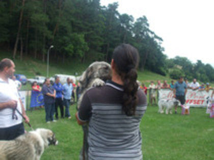 Bandit de Popa 15 - masculi