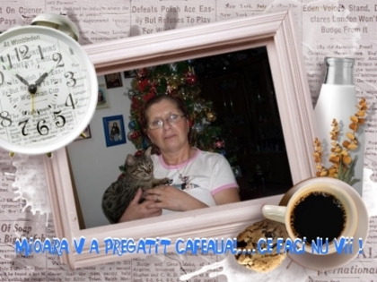 ddb8a9ffca656b4ee8416f8b7dfe8d20