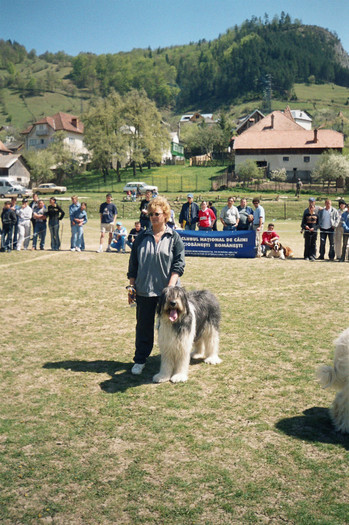 rucar 2004 solo canis - Rucar 2004-OMOLOGAREA UCI