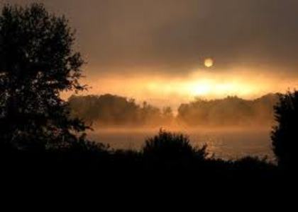 images (4) - Imagini artistice