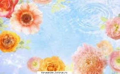 images (9) - Imagini artistice