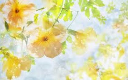 images (20) - Imagini artistice