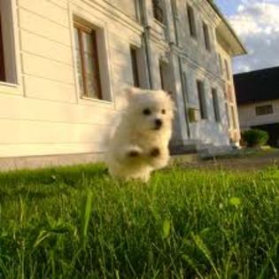 images (64) - Imagini artistice