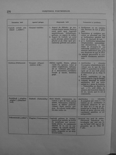 cresterea porumbeilor-peterfi 265 - cresterea porumbeilor stefan peterfi