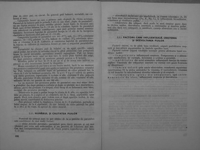 rasele de porumbei din romania -bonatiu 052 - rasele de porumbei din romania feliciu bonatiu
