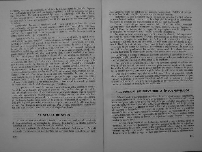 rasele de porumbei din romania -bonatiu 091 - rasele de porumbei din romania feliciu bonatiu