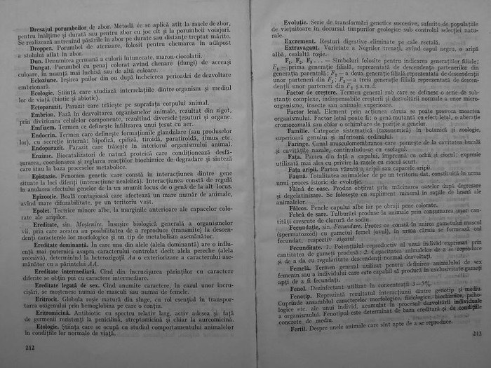 rasele de porumbei din romania -bonatiu 112 - rasele de porumbei din romania feliciu bonatiu