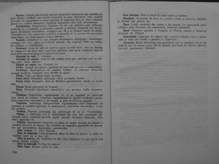 rasele de porumbei din romania -bonatiu 121 - rasele de porumbei din romania feliciu bonatiu