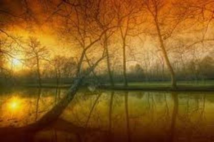 images (85) - Imagini artistice