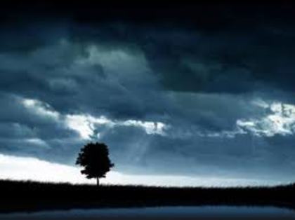 images (92) - Imagini artistice