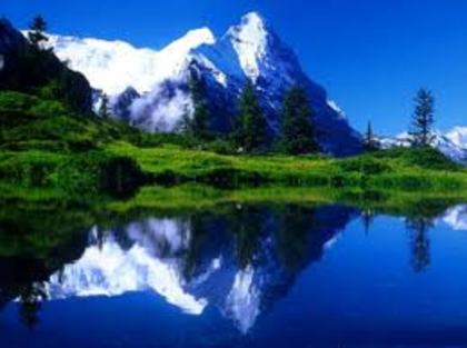 images (98) - Imagini artistice