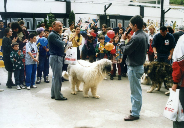 Ursu de Romania BIS Floreasca 2000; Proprietar Crainic V-Bucuresti
