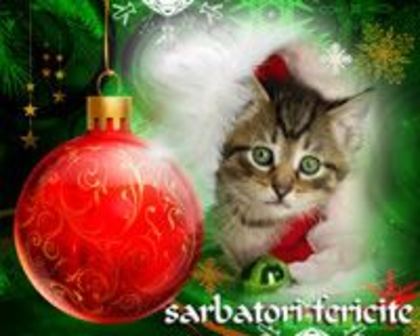 sarbatori fericite (31)