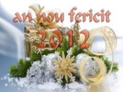 sarbatori fericite (40)