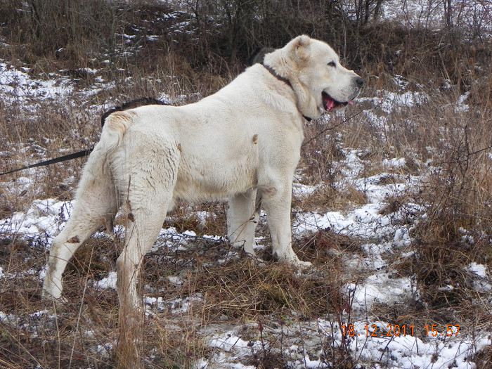 DSCN9016 - ALTAY