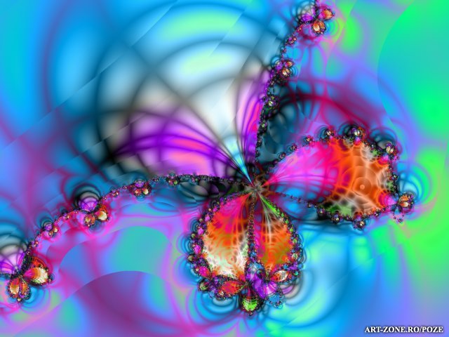 Fluture_Abstract_big - poze fluturi
