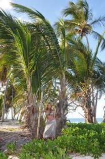 images (50) - Elena Gheorghe