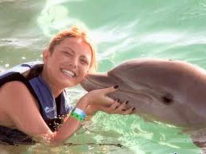 images (57) - Elena Gheorghe