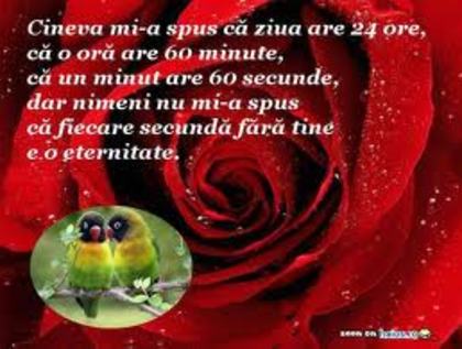 images (45) - poze cu Inimi