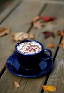 318409_266854126686245_182978295073829_734668_2027713698_a