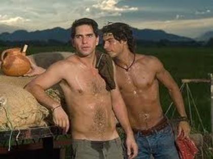 images (19) - Arap Bethke