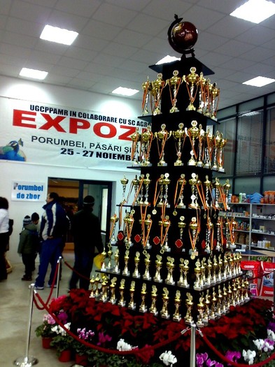 251120114287 - Expozitia Nationala Galati 2011