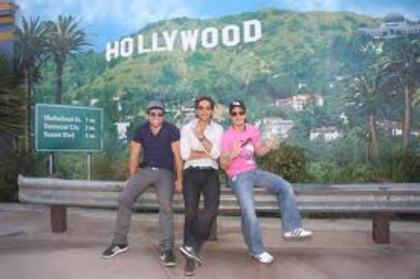 images (14) - Arap Bethke