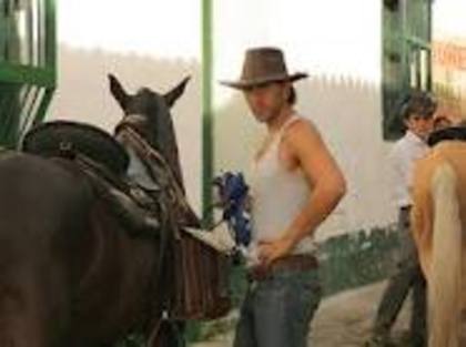 images (50) - Arap Bethke