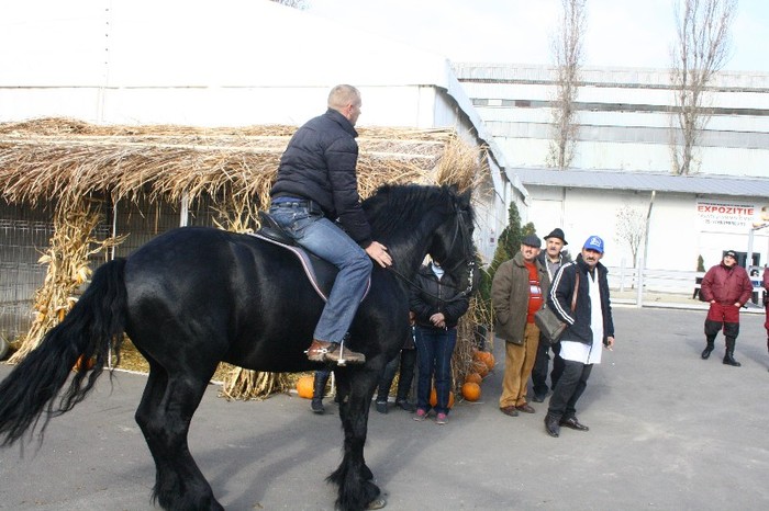 IMG_0061 - Expozitia Nationala Galati 2011