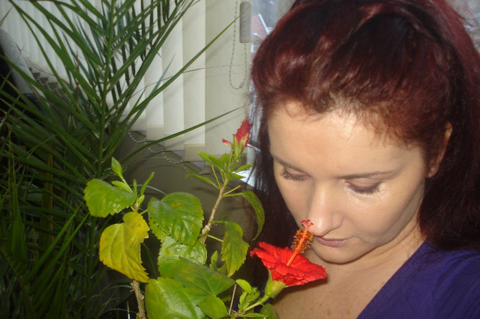 DSC00238 - EU-MEME