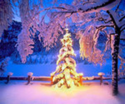 christmas_by_Abakum - 00 MERY CHRISTMAS 00